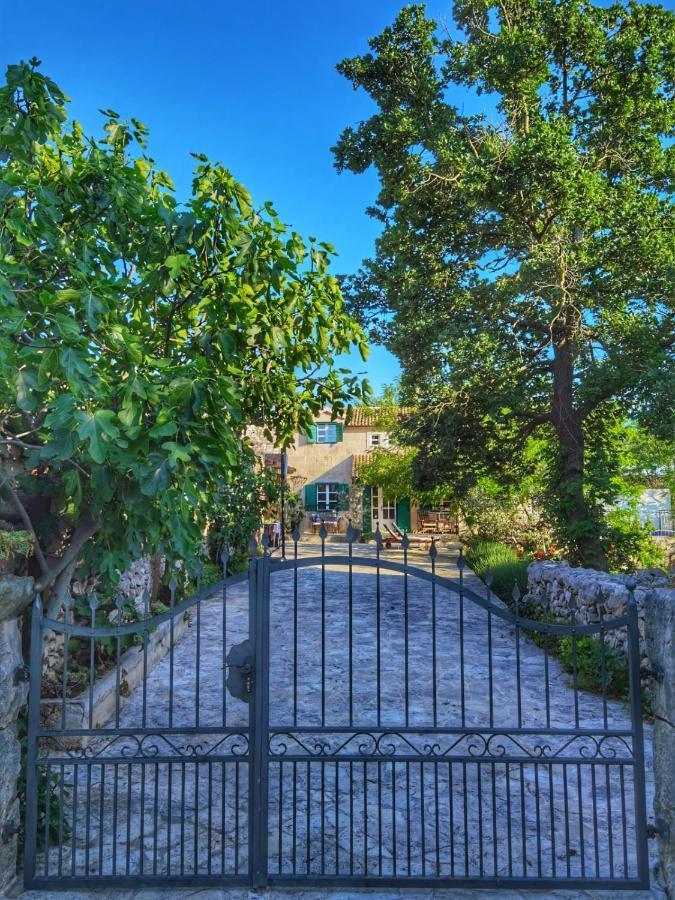 Villa Dvori Dida Mile Sveti Petar  Exteriér fotografie