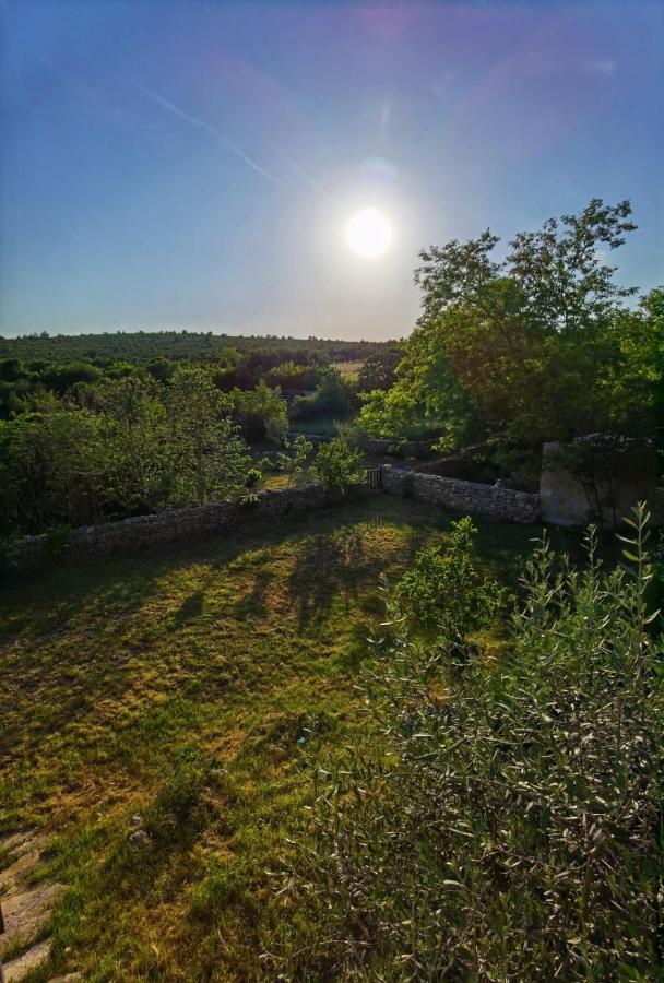 Villa Dvori Dida Mile Sveti Petar  Exteriér fotografie