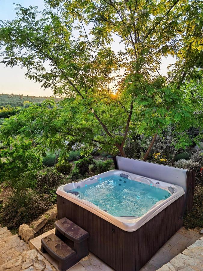 Villa Dvori Dida Mile Sveti Petar  Exteriér fotografie