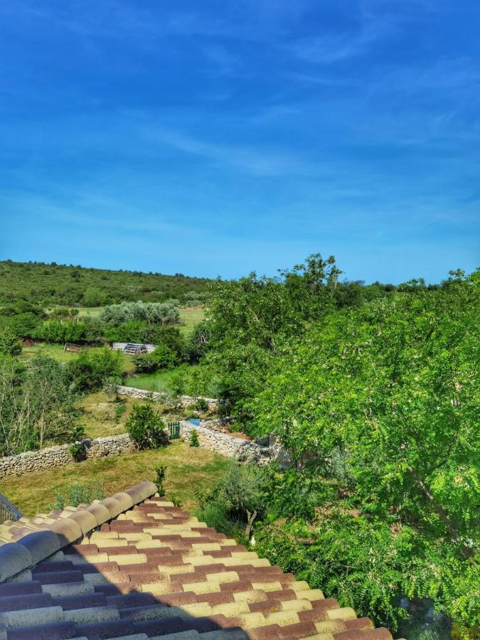 Villa Dvori Dida Mile Sveti Petar  Exteriér fotografie
