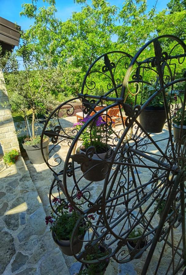 Villa Dvori Dida Mile Sveti Petar  Exteriér fotografie
