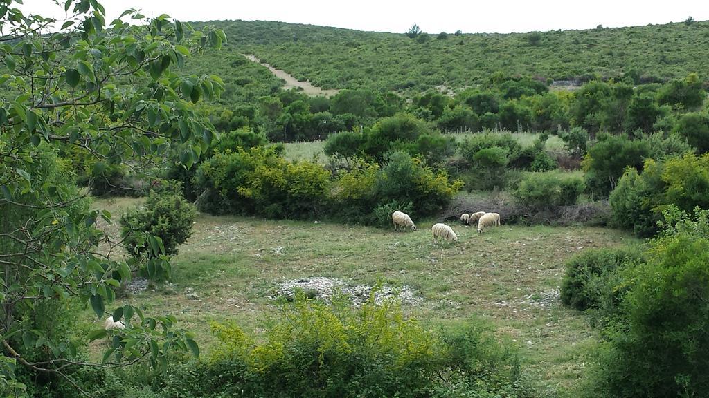 Villa Dvori Dida Mile Sveti Petar  Pokoj fotografie