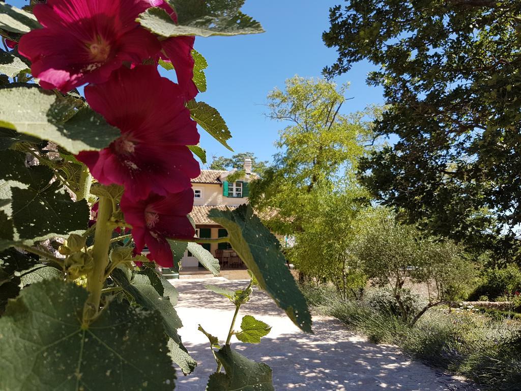 Villa Dvori Dida Mile Sveti Petar  Exteriér fotografie
